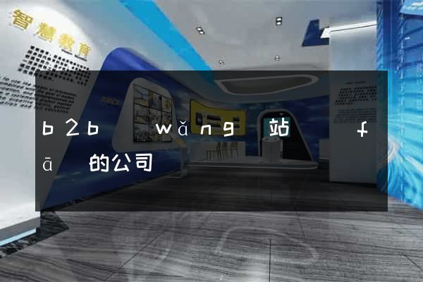 b2b網(wǎng)站開發(fā)的公司