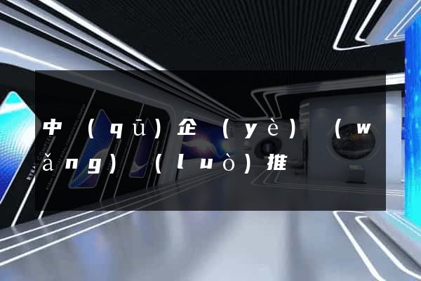 中區(qū)企業(yè)網(wǎng)絡(luò)推廣