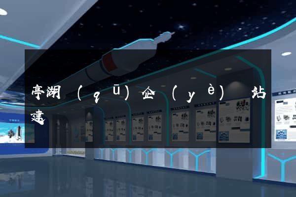 亭湖區(qū)企業(yè)網站建設