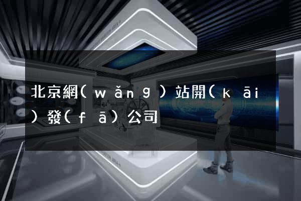 北京網(wǎng)站開(kāi)發(fā)公司