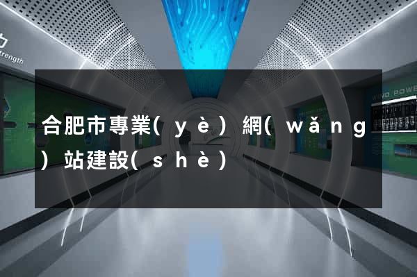 合肥市專業(yè)網(wǎng)站建設(shè)