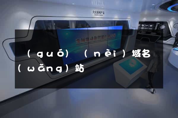 國(guó)內(nèi)域名網(wǎng)站