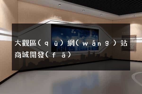 大觀區(qū)網(wǎng)站商城開發(fā)