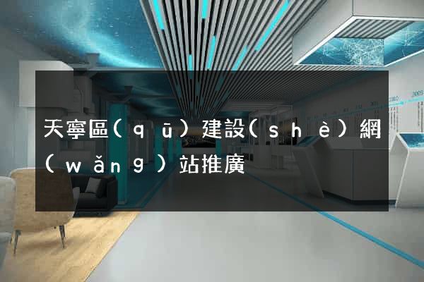 天寧區(qū)建設(shè)網(wǎng)站推廣