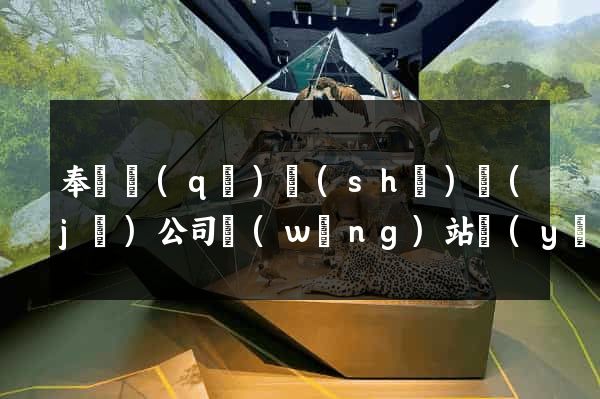 奉賢區(qū)設(shè)計(jì)公司網(wǎng)站優(yōu)化