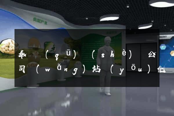 奉賢區(qū)設(shè)計公司網(wǎng)站優(yōu)化