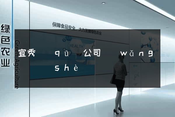 宜秀區(qū)公司網(wǎng)頁設(shè)計