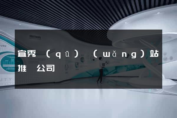 宜秀區(qū)網(wǎng)站推廣公司