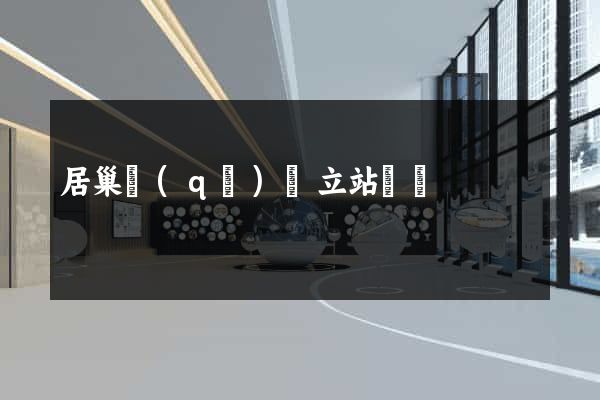 居巢區(qū)獨立站運營