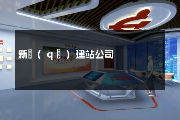 新區(qū)建站公司