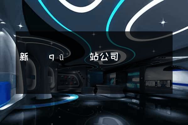 新區(qū)網站公司