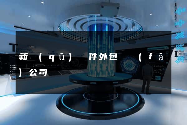 新區(qū)軟件外包開發(fā)公司