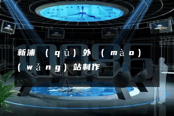 新浦區(qū)外貿(mào)網(wǎng)站制作