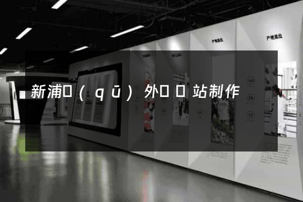 新浦區(qū)外貿網站制作