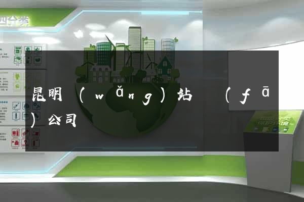 昆明網(wǎng)站開發(fā)公司