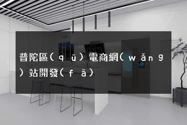 普陀區(qū)電商網(wǎng)站開發(fā)