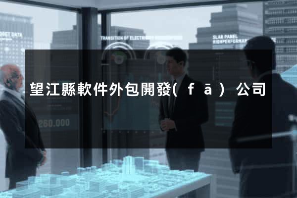 望江縣軟件外包開發(fā)公司