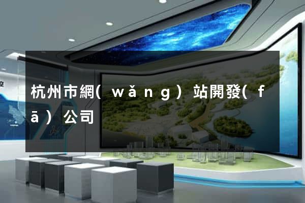 杭州市網(wǎng)站開發(fā)公司