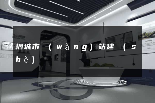 桐城市網(wǎng)站建設(shè)