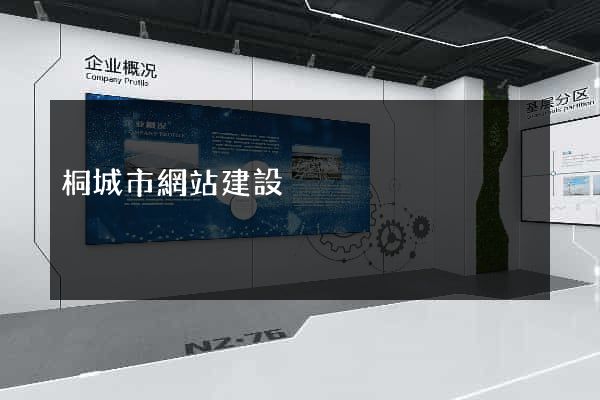 桐城市網站建設