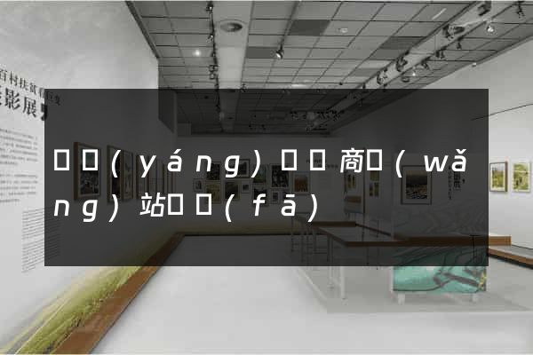 樅陽(yáng)縣電商網(wǎng)站開發(fā)