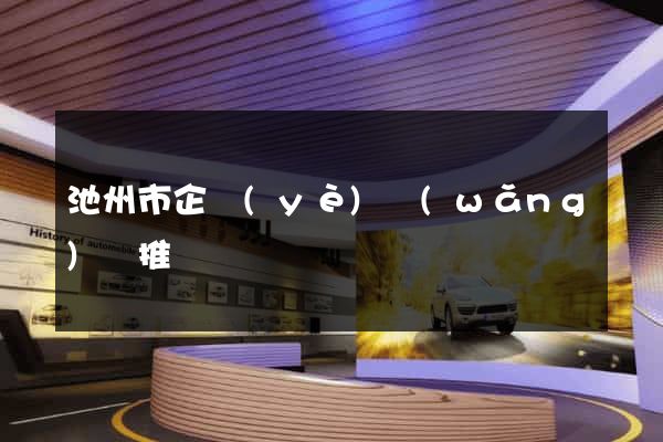 池州市企業(yè)網(wǎng)絡推廣