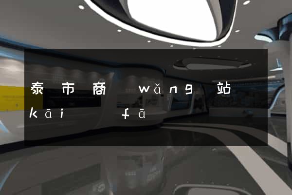 泰興市電商網(wǎng)站開(kāi)發(fā)