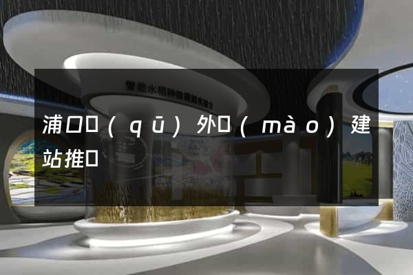 浦口區(qū)外貿(mào)建站推廣