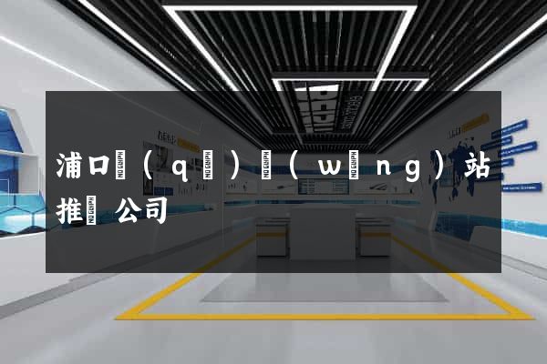 浦口區(qū)網(wǎng)站推廣公司