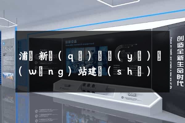 浦東新區(qū)專業(yè)網(wǎng)站建設(shè)