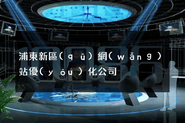 浦東新區(qū)網(wǎng)站優(yōu)化公司