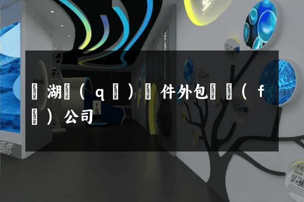 濱湖區(qū)軟件外包開發(fā)公司