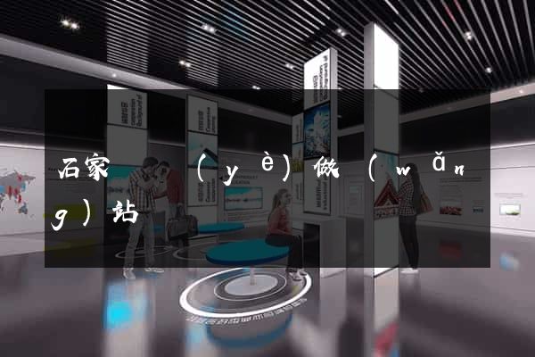 石家莊專業(yè)做網(wǎng)站