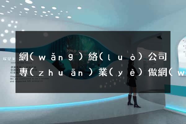 網(wǎng)絡(luò)公司專(zhuān)業(yè)做網(wǎng)站