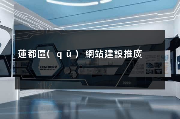 蓮都區(qū)網站建設推廣