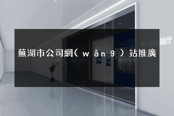 蕪湖市公司網(wǎng)站推廣
