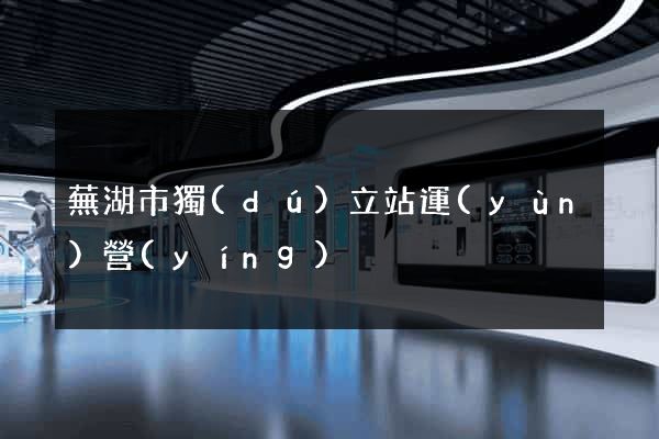 蕪湖市獨(dú)立站運(yùn)營(yíng)