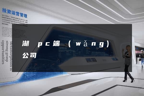蕪湖縣pc端網(wǎng)頁設計公司