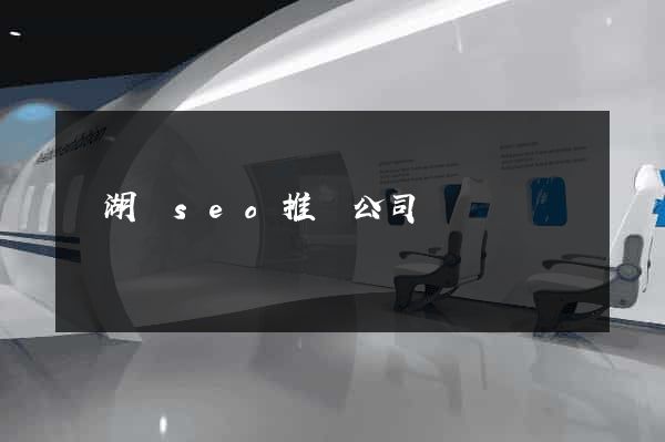 蕪湖縣seo推廣公司