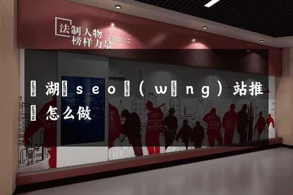 蕪湖縣seo網(wǎng)站推廣怎么做