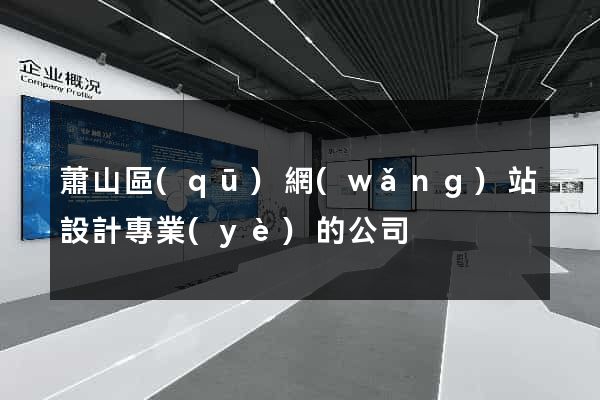 蕭山區(qū)網(wǎng)站設計專業(yè)的公司