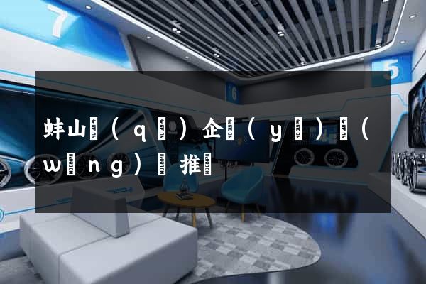 蚌山區(qū)企業(yè)網(wǎng)絡推廣