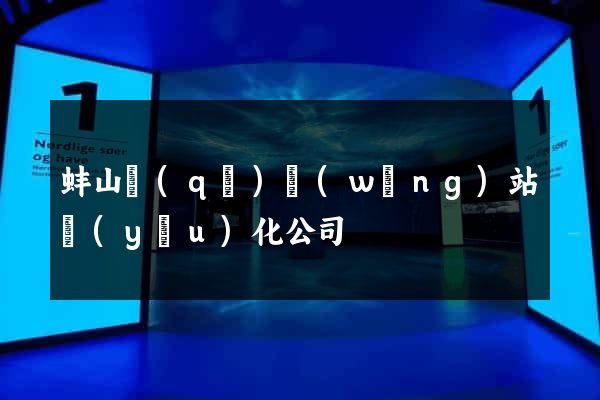 蚌山區(qū)網(wǎng)站優(yōu)化公司