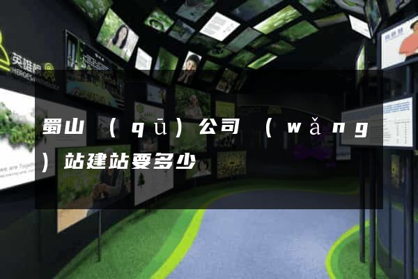 蜀山區(qū)公司網(wǎng)站建站要多少錢