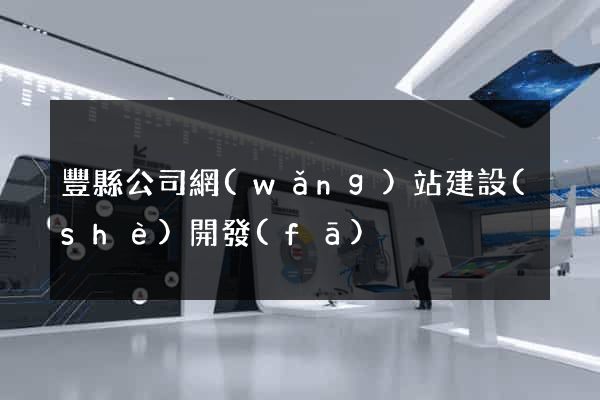 豐縣公司網(wǎng)站建設(shè)開發(fā)