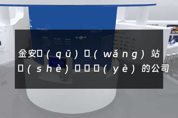 金安區(qū)網(wǎng)站設(shè)計專業(yè)的公司