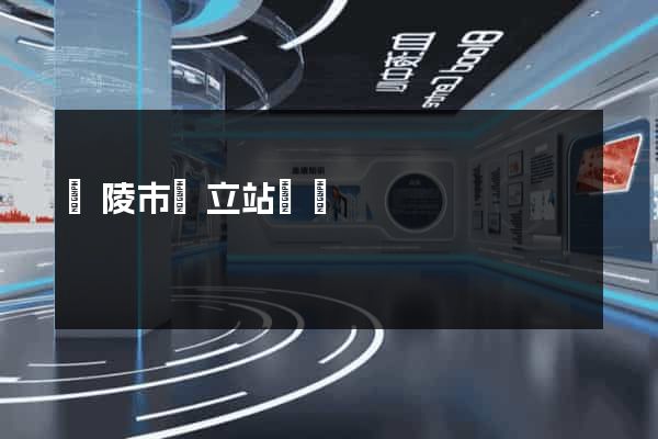 銅陵市獨立站運營