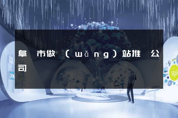 阜陽市做網(wǎng)站推廣公司