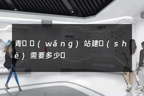青島網(wǎng)站建設(shè)需要多少錢