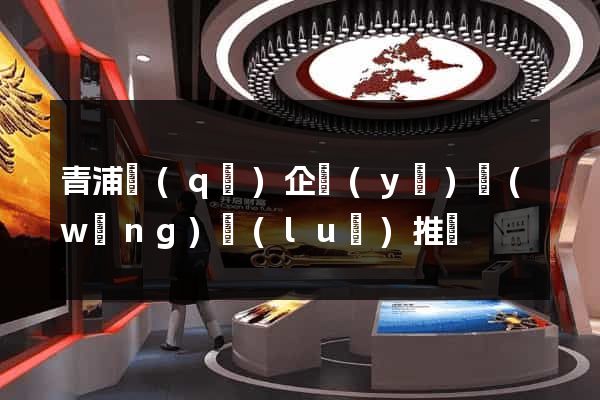 青浦區(qū)企業(yè)網(wǎng)絡(luò)推廣